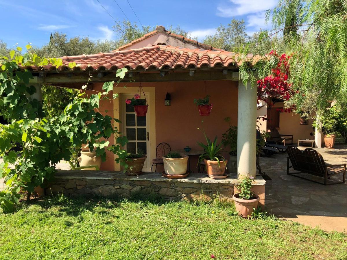 Domaine Le Clos Des Oliviers Sorbo-Ocagnano Dış mekan fotoğraf