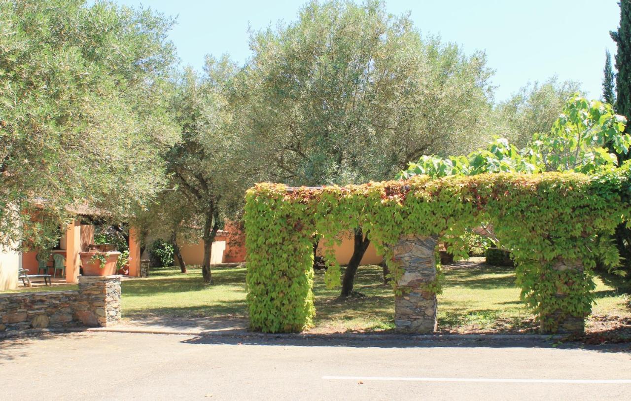 Domaine Le Clos Des Oliviers Sorbo-Ocagnano Dış mekan fotoğraf