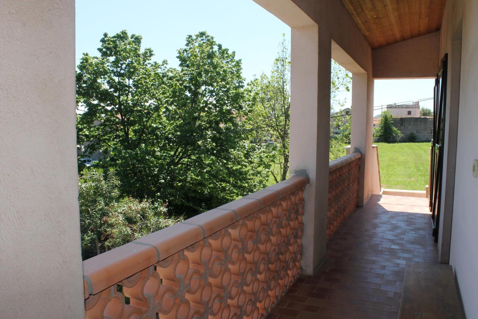 Domaine Le Clos Des Oliviers Sorbo-Ocagnano Oda fotoğraf