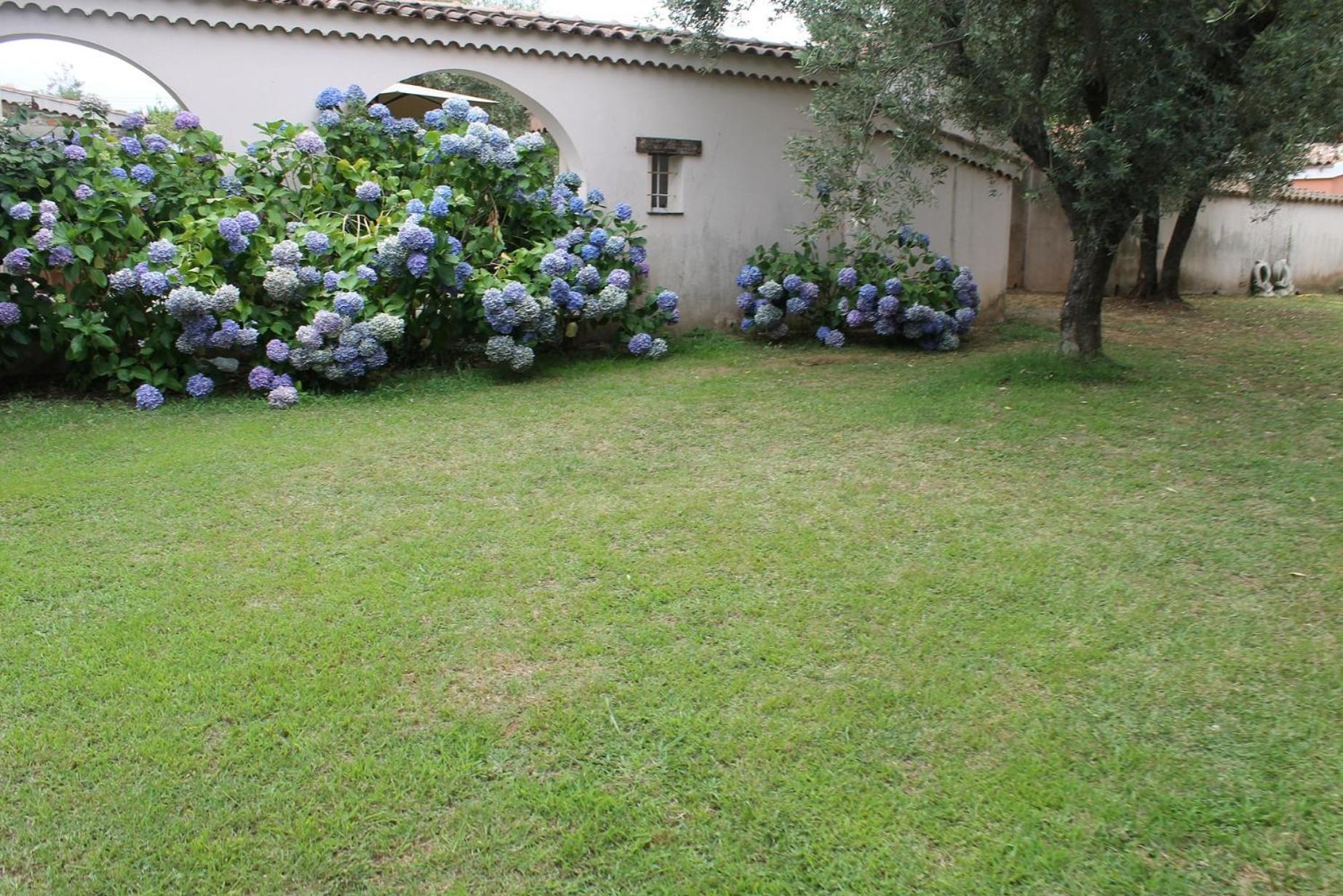 Domaine Le Clos Des Oliviers Sorbo-Ocagnano Dış mekan fotoğraf