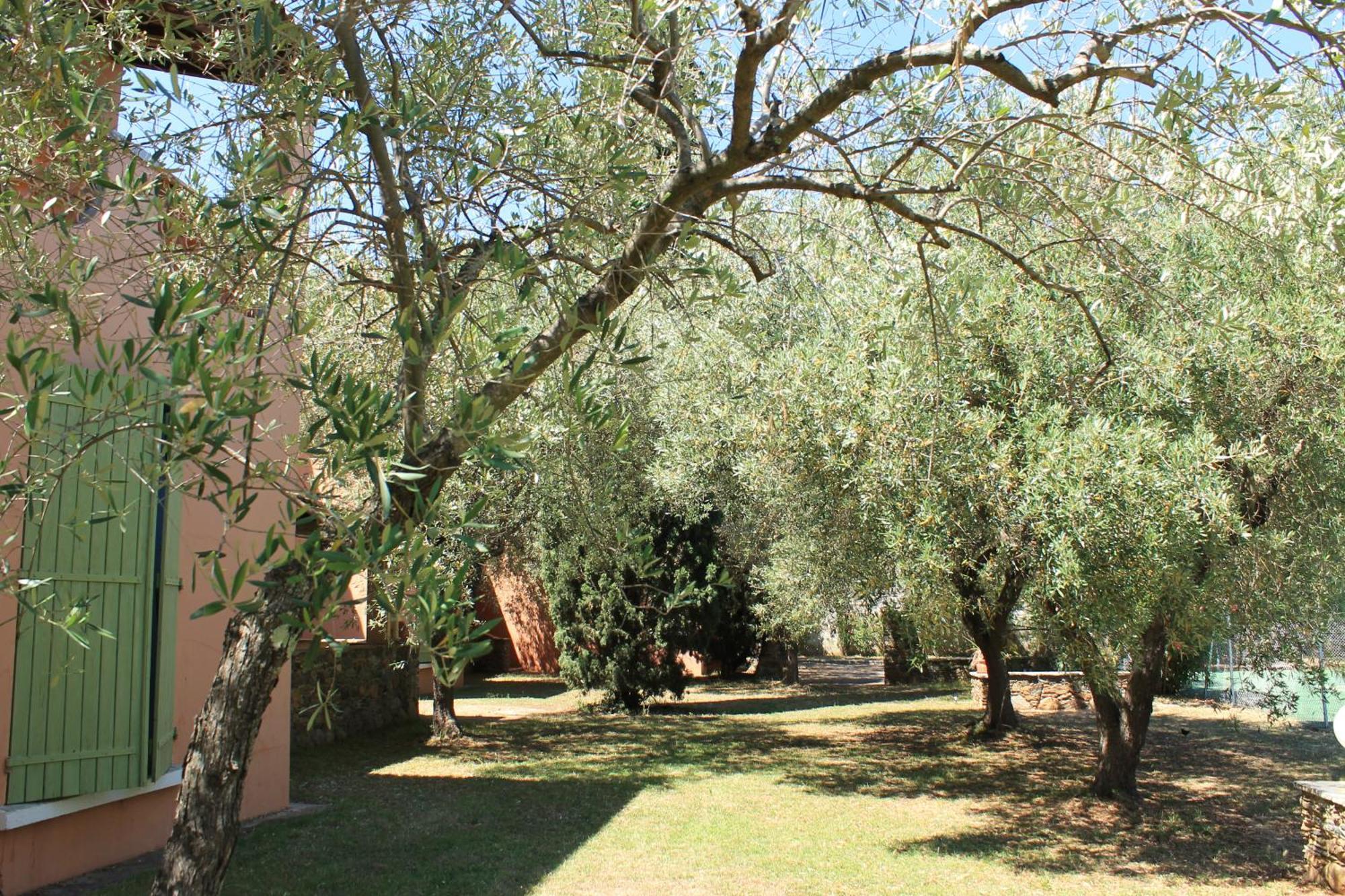 Domaine Le Clos Des Oliviers Sorbo-Ocagnano Dış mekan fotoğraf