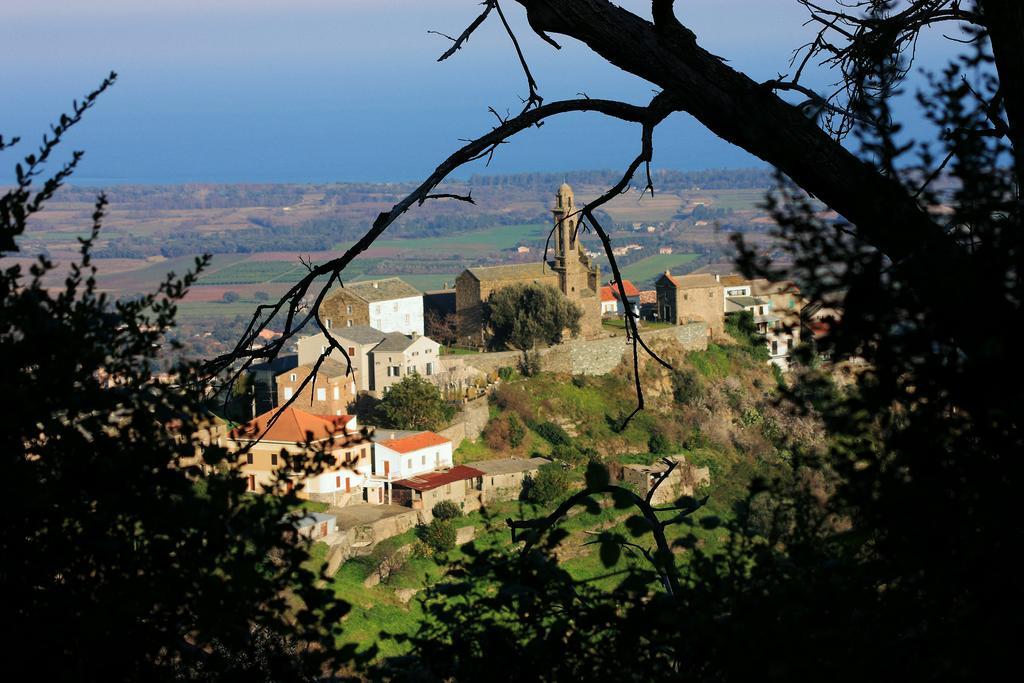Domaine Le Clos Des Oliviers Sorbo-Ocagnano Dış mekan fotoğraf