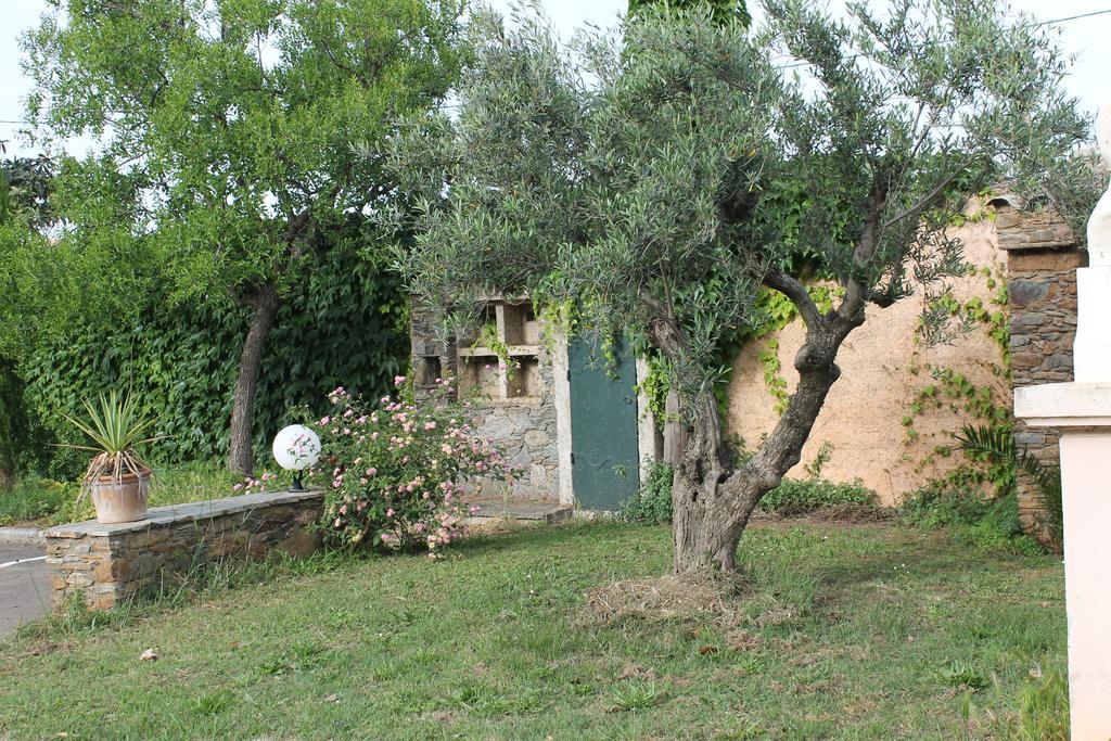 Domaine Le Clos Des Oliviers Sorbo-Ocagnano Dış mekan fotoğraf