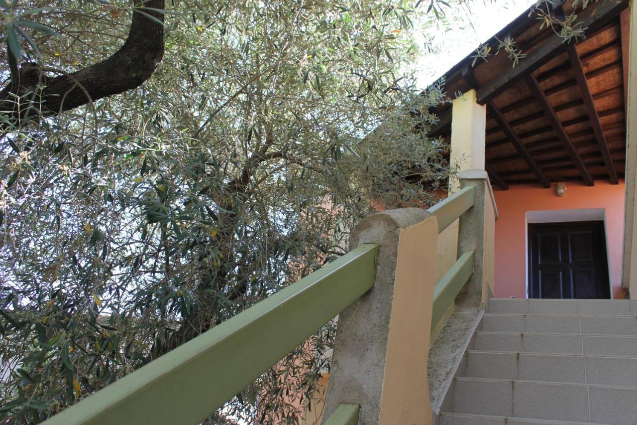 Domaine Le Clos Des Oliviers Sorbo-Ocagnano Dış mekan fotoğraf